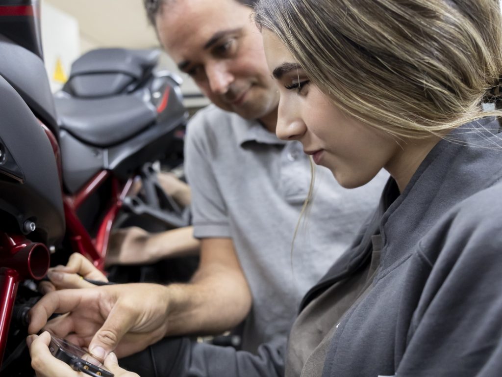 Visión de la Fundación Monlau